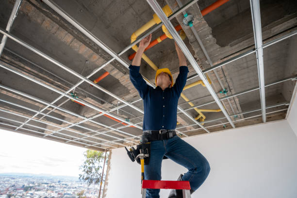 Best Same-Day Plumbing Service  in Woodbury, MN