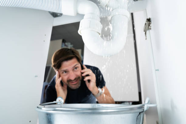Best Plumbing Inspection Services  in Woodbury, MN