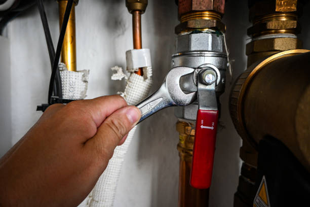 Best Emergency Plumber  in Woodbury, MN